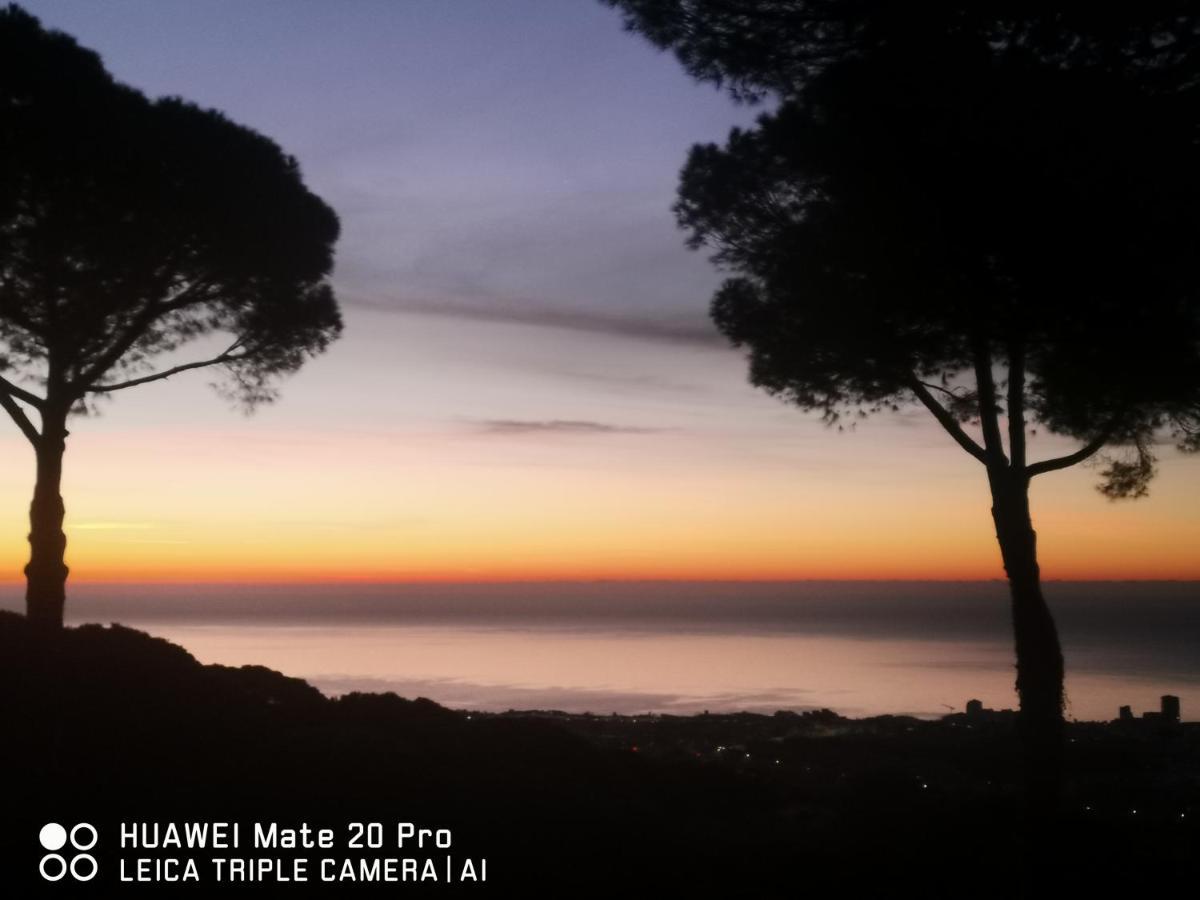 Villa Maresme & Villa Rosa Mataró Buitenkant foto